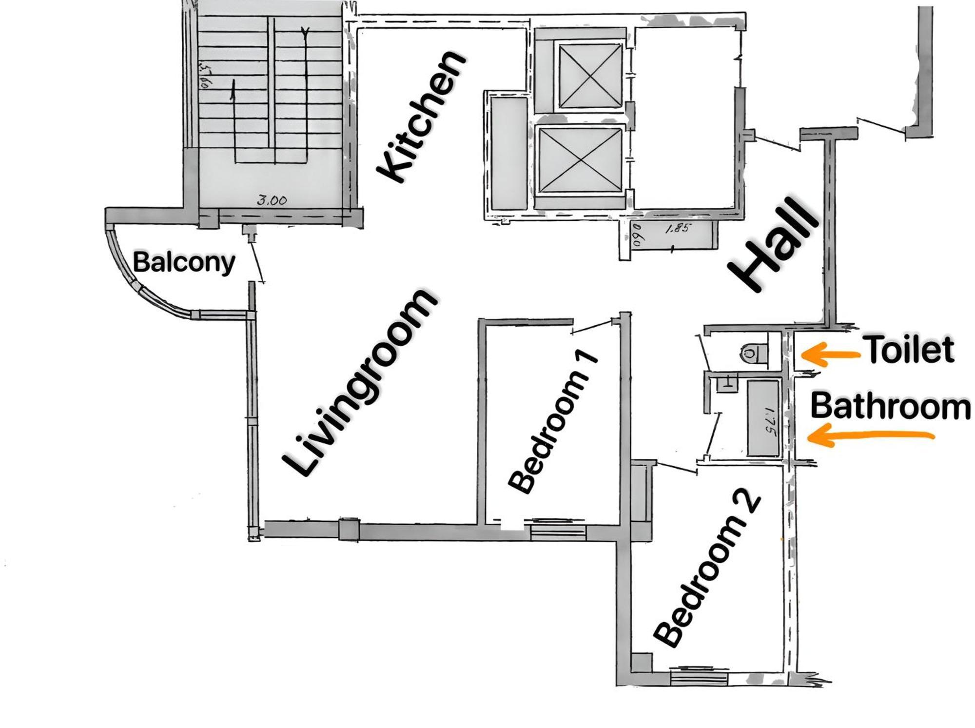 Downtown Big Apartment Tasjkent Eksteriør billede